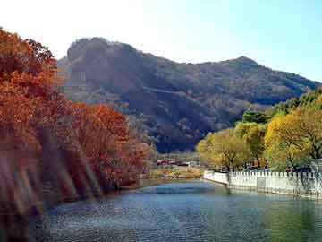 新澳天天开奖资料大全旅游团，聚酯编织干网